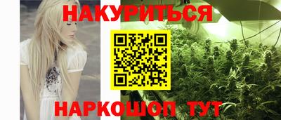 мяу мяу мука Нальчик