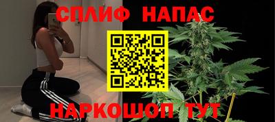 мяу мяу мука Нальчик