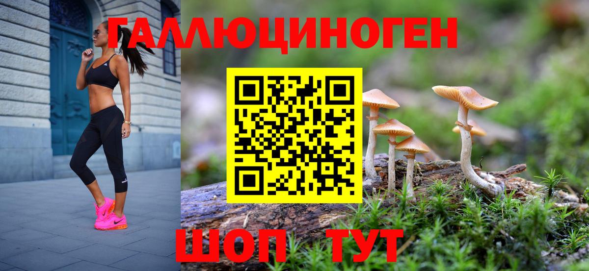 Галлюциногенные грибы Cubensis Старая Купавна